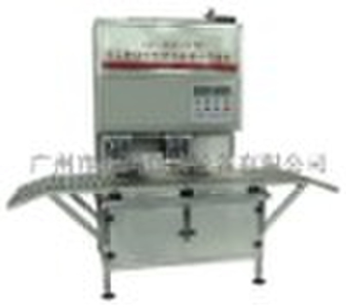 soft bag filling and capping machine