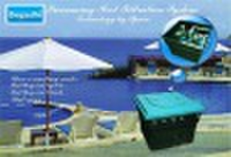 Swimming Pool Filter