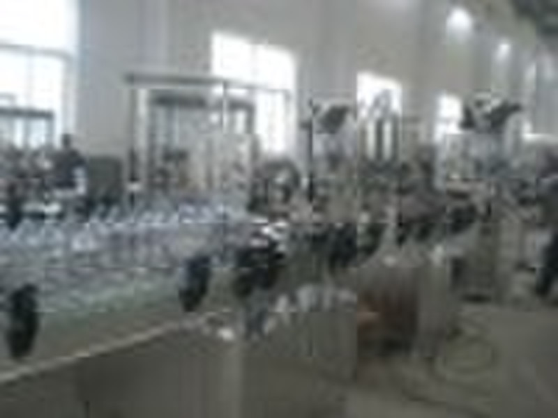 small  Mineral Water Machine/Filling Line
