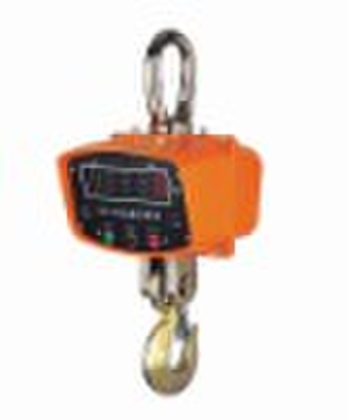Electronic Crane Scale