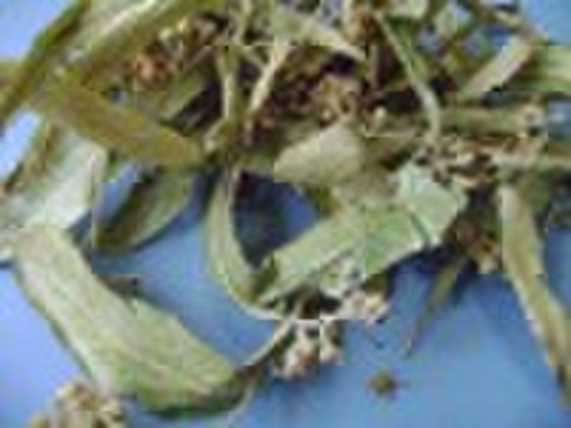 linden flower