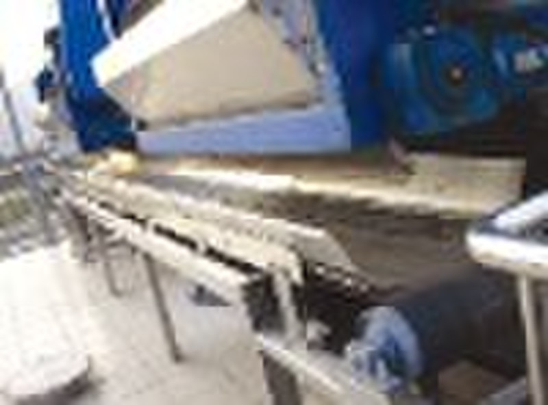 Belt Conveyer