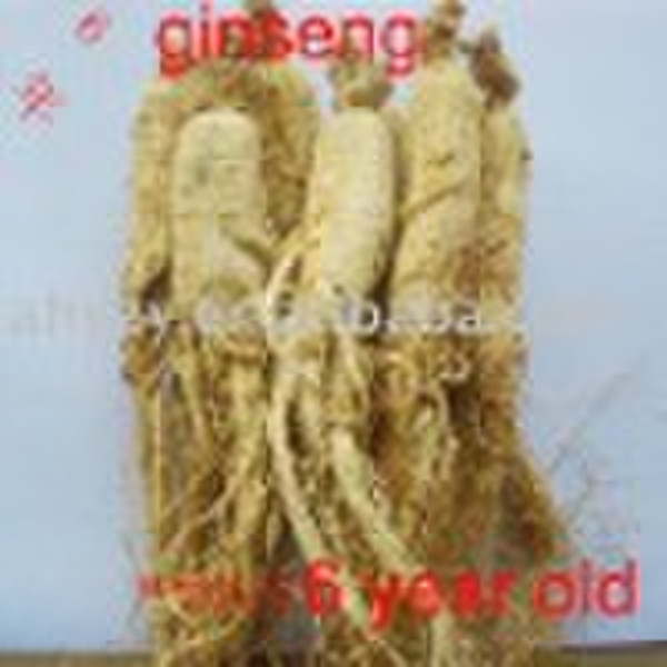 ginseng