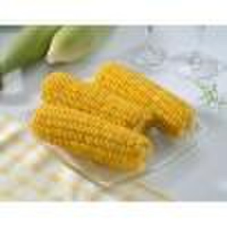 Gefrorene Cut Sweet Corn (No: czf007)