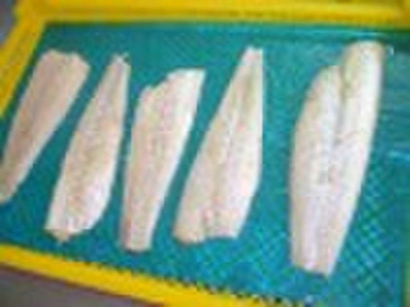 gefrorenen arrowtooth Flunder Filets, Fisch