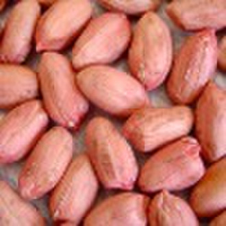 2010 new crop peanuts