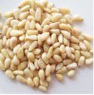 Confectionary Pine Nut