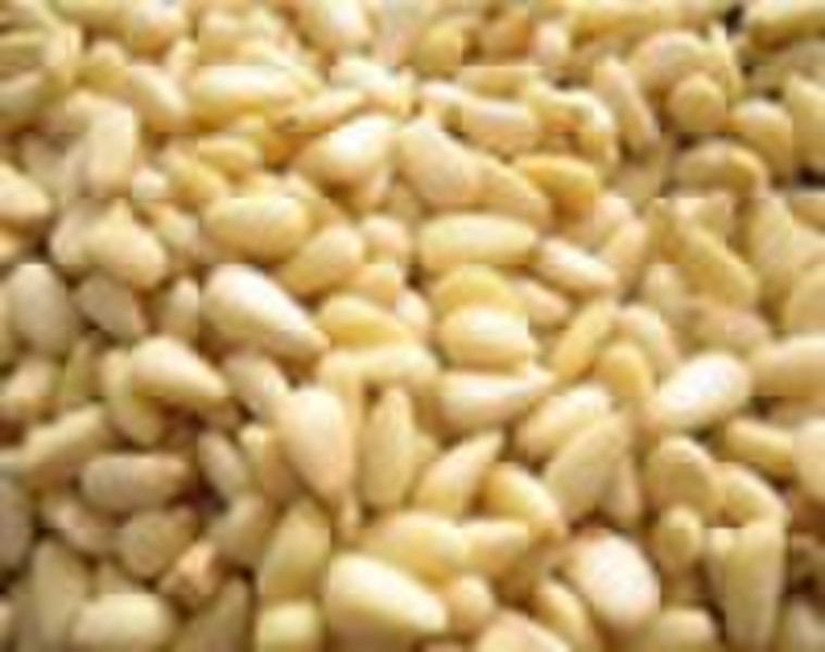 Pine Nut Kernels