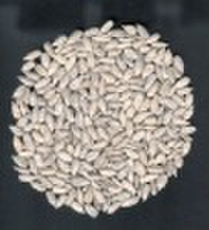 Bachery Sunflower Seeds Kernel