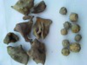 Chinese Gall/ Galla Chinensis/ Gallnuts/ Nutgall