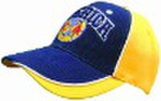 baseball cap with embroidery