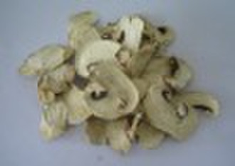 多孢子的蘑菇片