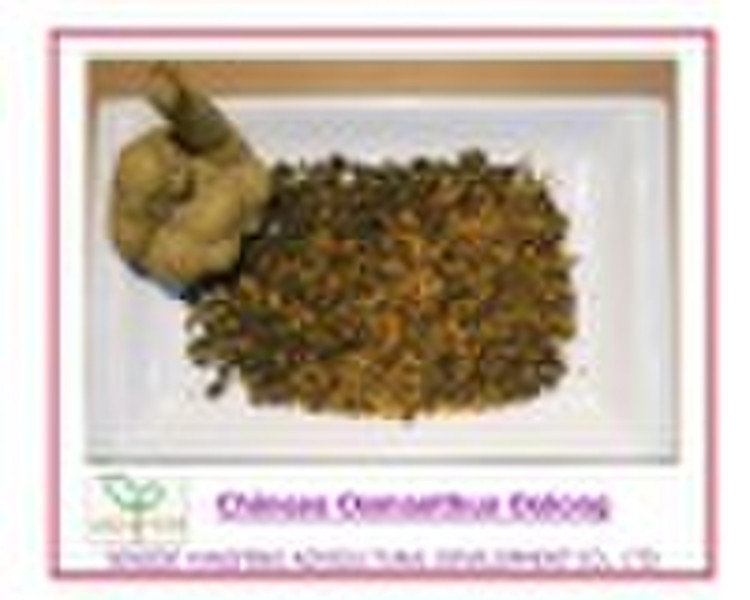 Chinese Osmanthus Oolong Tea
