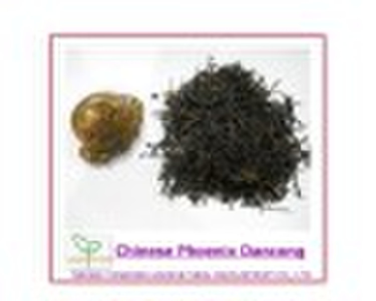 Chinese Phoenix Dancong Oolong Tea