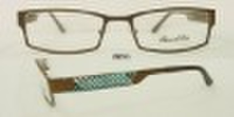 fashion eyewear frame