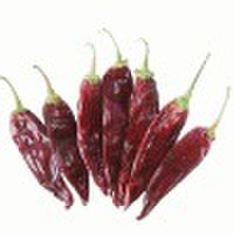 american red chilli