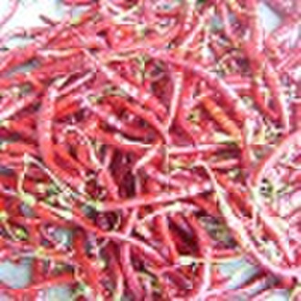 Yunnan Chilli