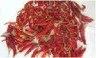 Chaotian Chili