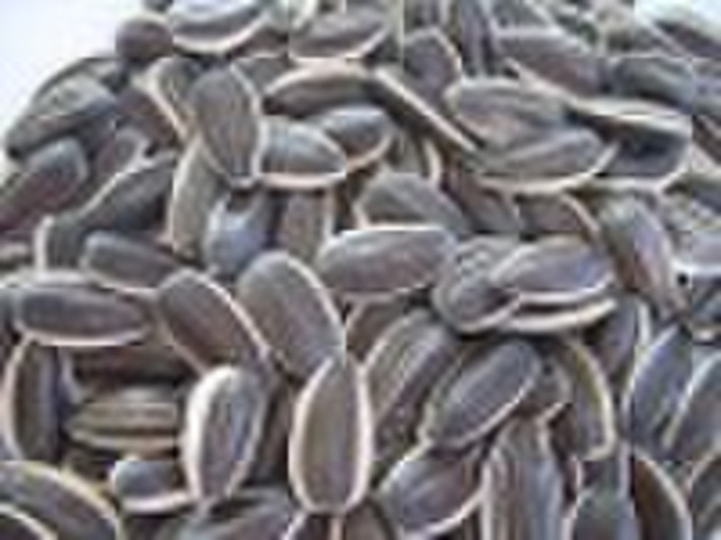 Sunflower seeds 135