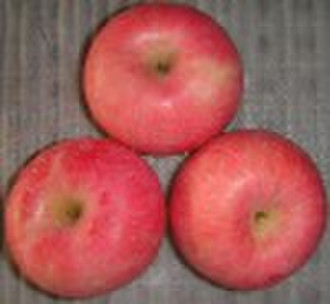 famous qixia fuji apples
