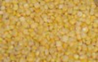 FROZEN Supersweet CORN