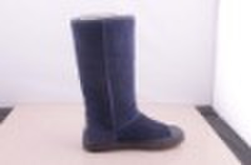 2010 new style snow boots  women's Delaine 188