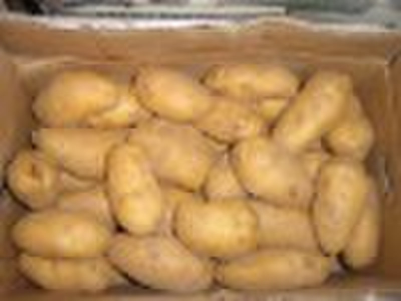 Fresh potato