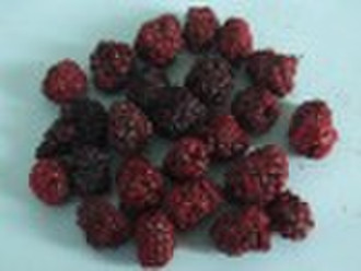 freeze dried blackberry