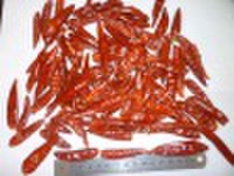 dry small red chilli