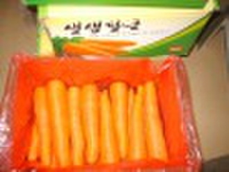 Fresh Carrots