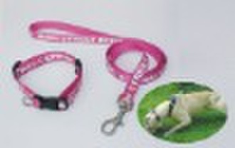 fashion dog collar and leash