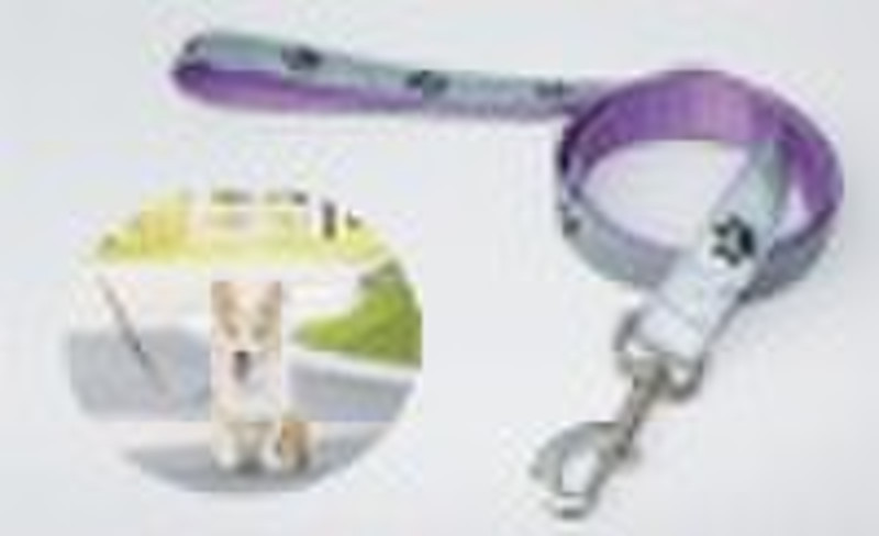 dog collar and leash --reflective