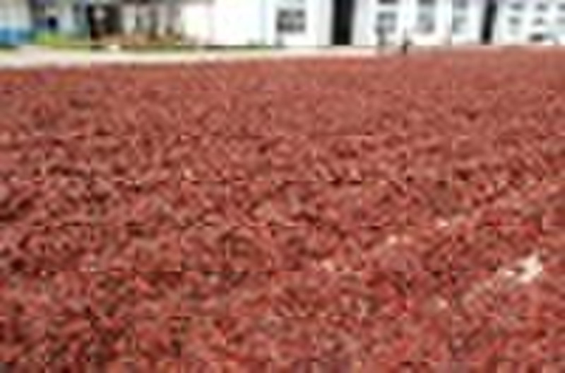 Dried Chilli Pods