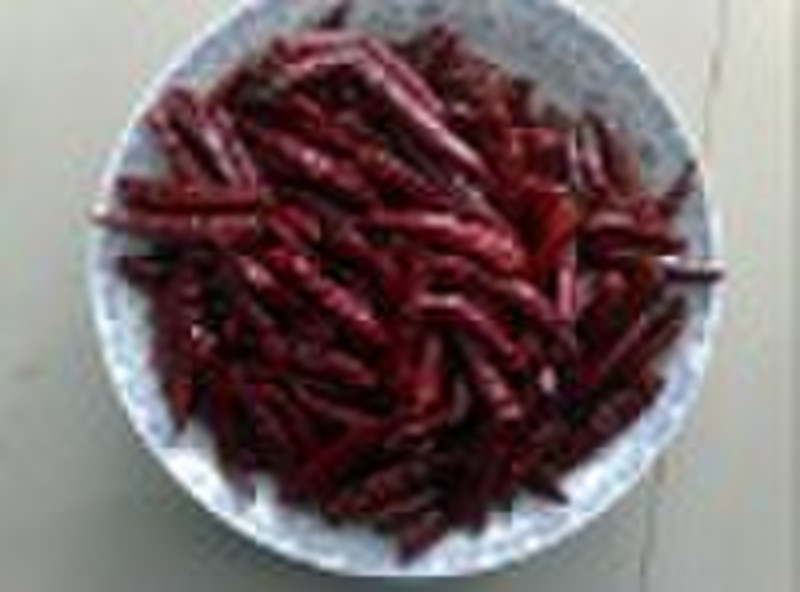 dried chili. dried pepper,chilli products