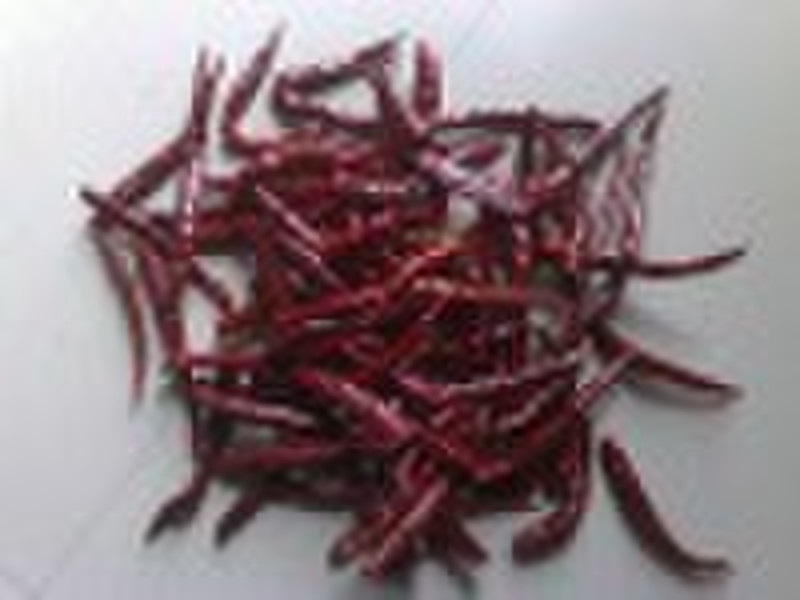 yunan chili without stem (red dry chili, dried red