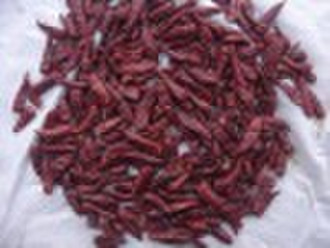 red dried chili, red chili, pepper,zidantou