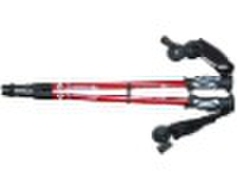 walking stick (DWS-314) GS approved