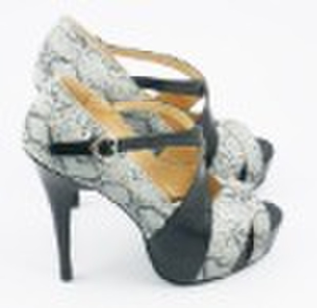 fashion high heel shoe . lady shoe