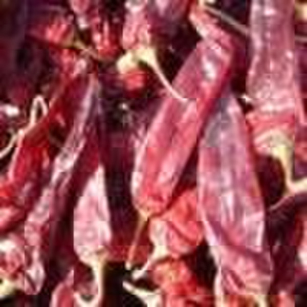 Dried  red chili