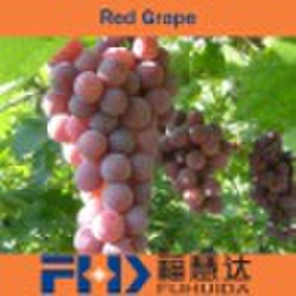 Juicy Grapes