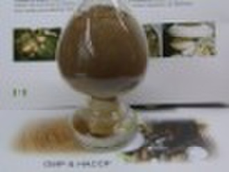 Maitake Mushroom Extract (Grifola frondosa extract