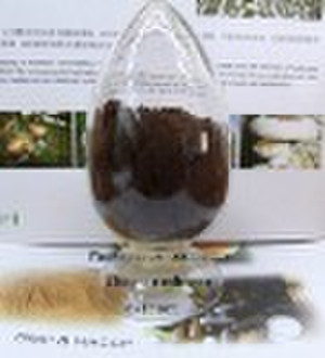 Chaga Mushroom Extract (Phaeoporus obliquus extrac