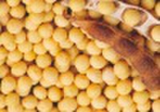 Soybean isoflavone