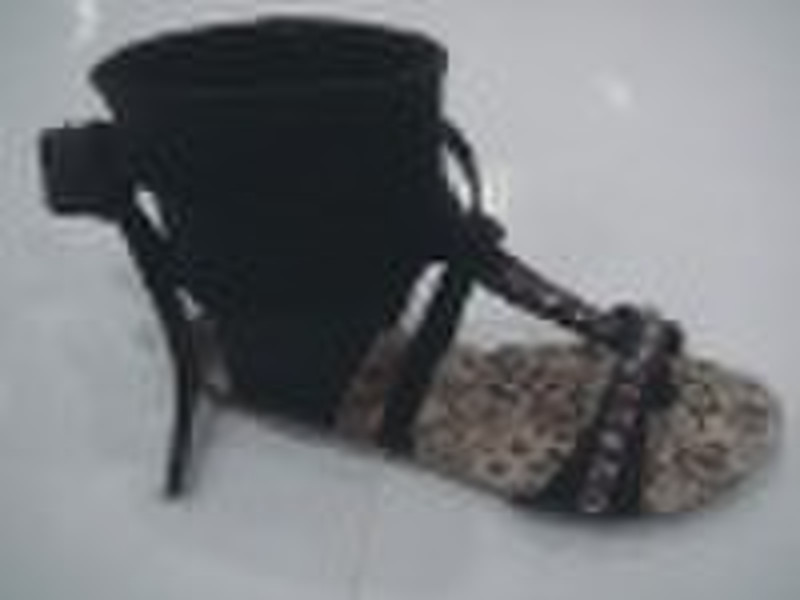 Lady Shoe (Woman Shoe/Women Shoe)