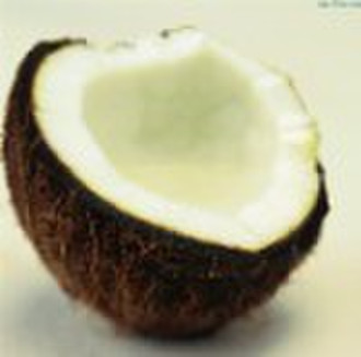 Coconut Pulver