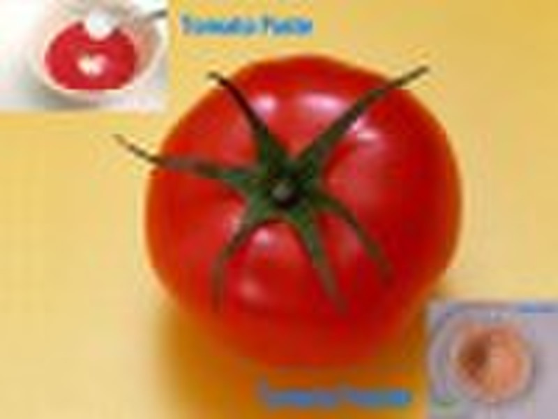 томатный порошок