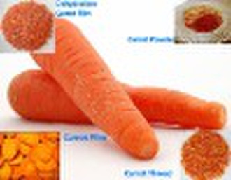 dried carrot powder
