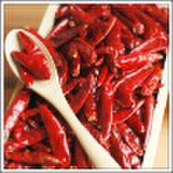 Chaotian Chili