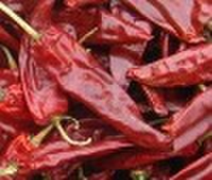 DRIED RED CHILI