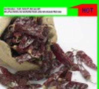 2009 DRIED SWEET PAPRIKA